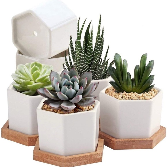 Other - Succulent Planter Pots, Set of 4